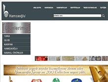Tablet Screenshot of hamzaoglu.com.tr